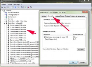 Contrôleur USB racine puis onglet alimentation